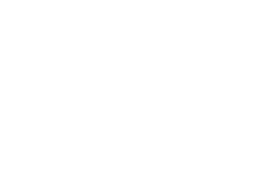 SAN LEVEN SPARK Solar Watch Logo in weiß.